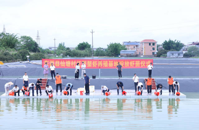 东源县仙塘村红螯螯虾养殖基地投放虾苗仪式现场