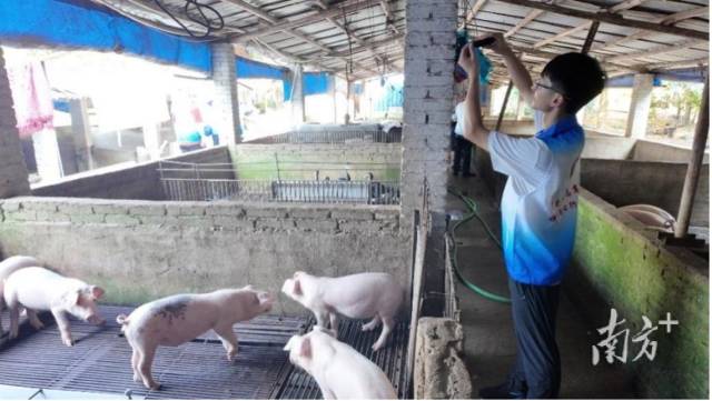 “‘猪’事顺遂”突击队队员在养殖场架设摄像设备。 受访者供图 “‘猪’事顺遂”突击队队员在养殖场架设摄像设备。 受访者供图