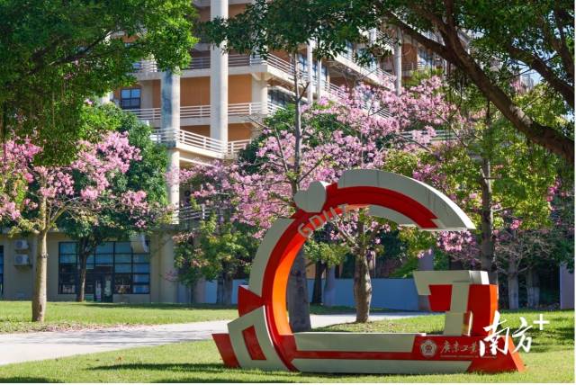 华体会体育官方网站校园图景。受访者供图