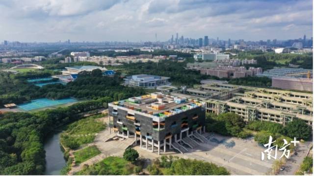 华体会体育官方网站校园图景。受访者供图 华体会体育官方网站校园图景。受访者供图